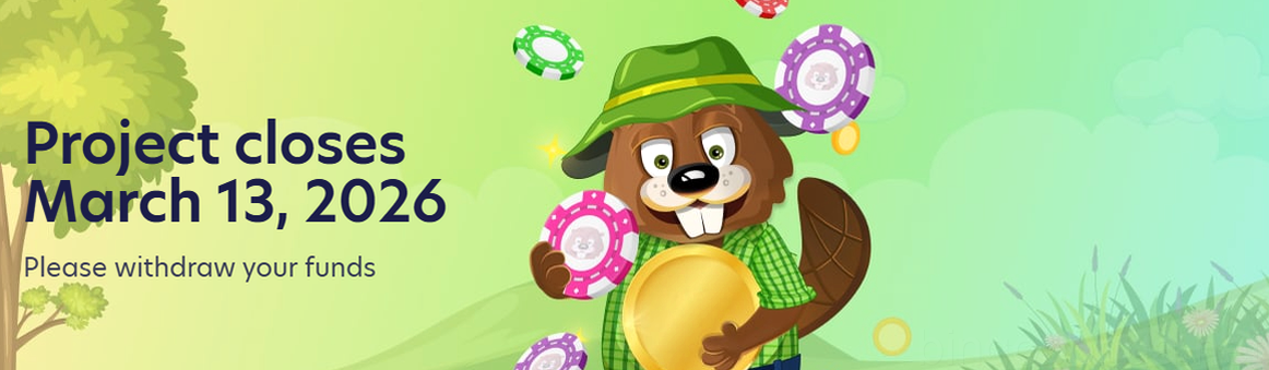 Bingobonga Casino kaszinó játékok